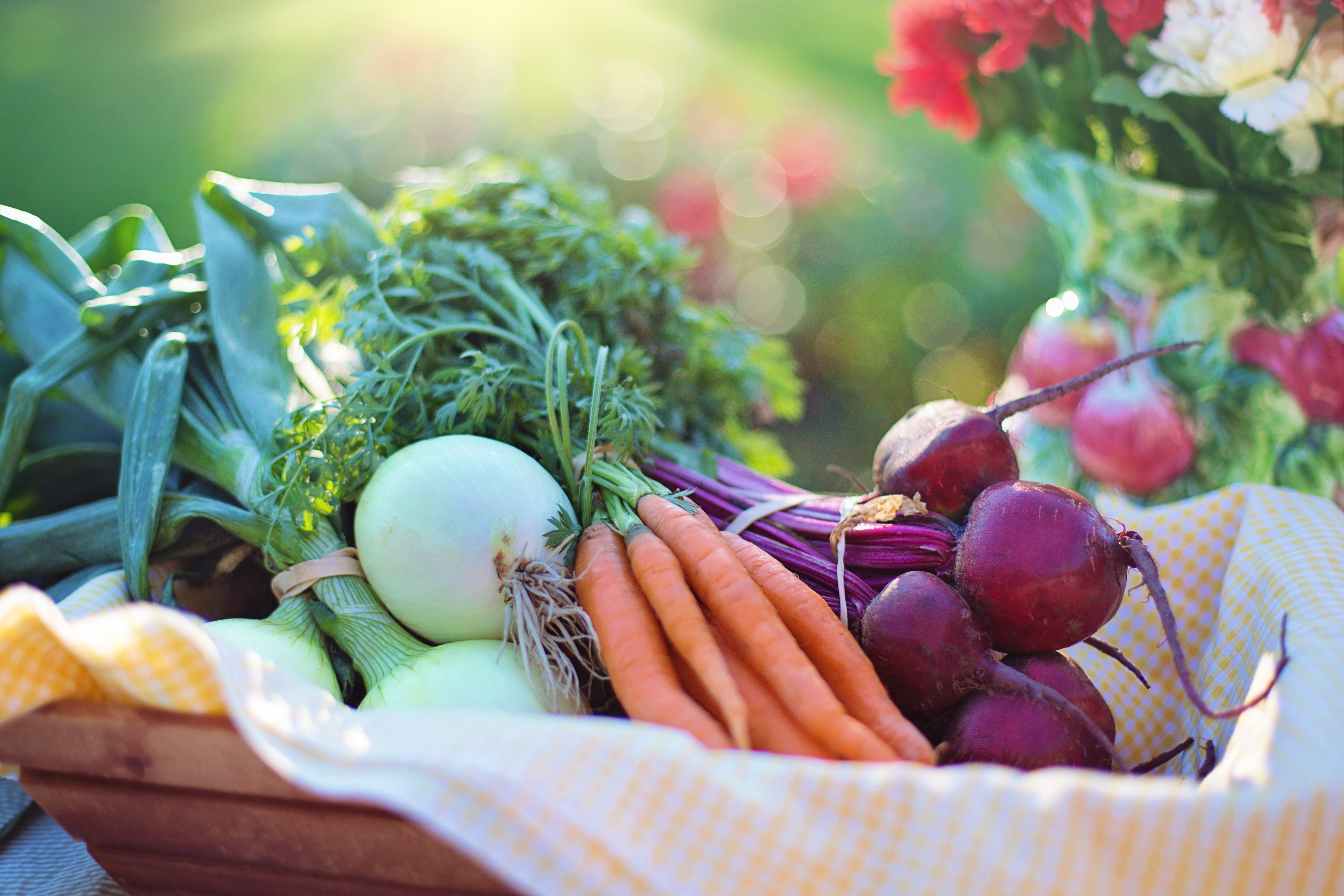 beets-carrots-close-up-533360